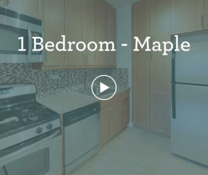 1 Bedroom Maple 3D Tours
